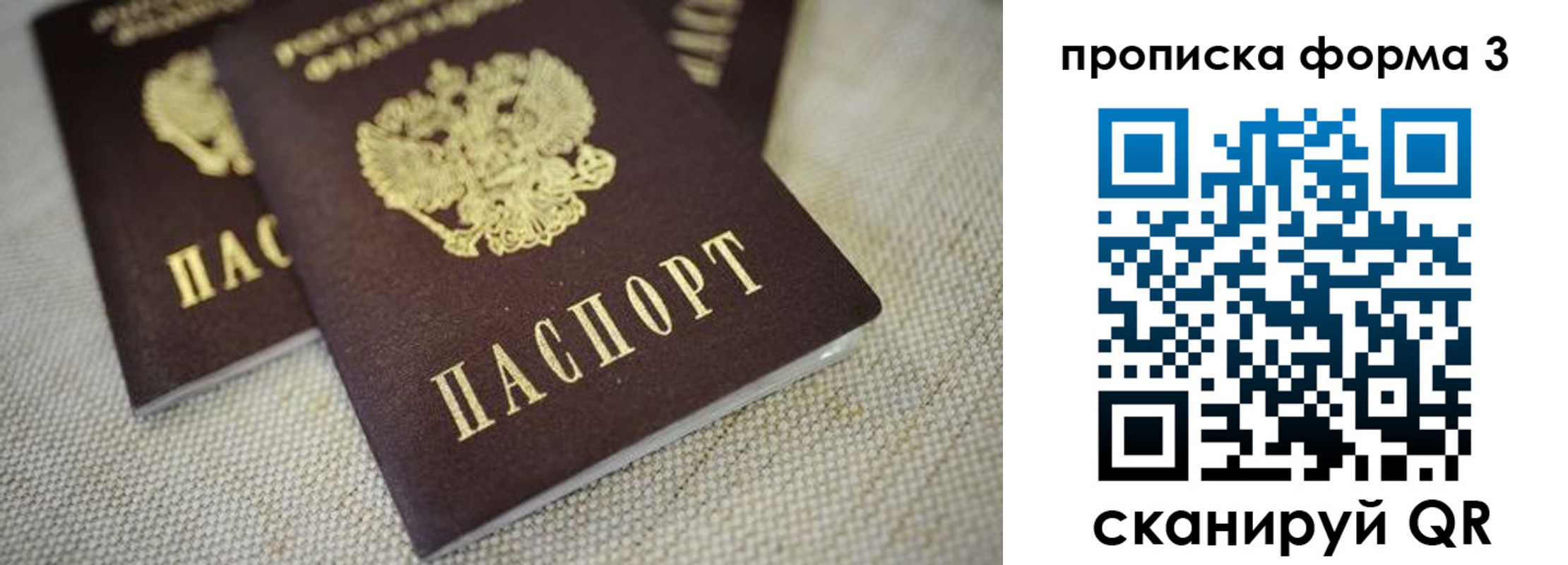 прописка поиск в Россоши